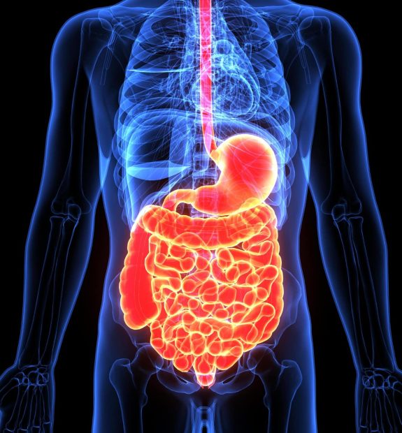 GastroDEX AI - Gastroenterology medical coding automation